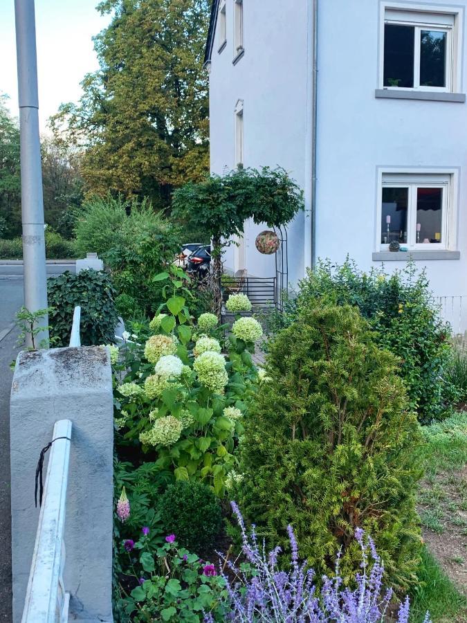 Sascha'S Home Зарлуи Екстериор снимка